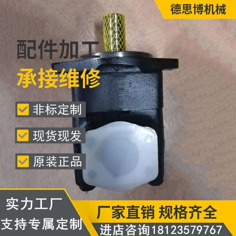 高压低噪音叶片泵PV2EJR-1X/0450RB1UMBK01液V泵物料搬运设备压机