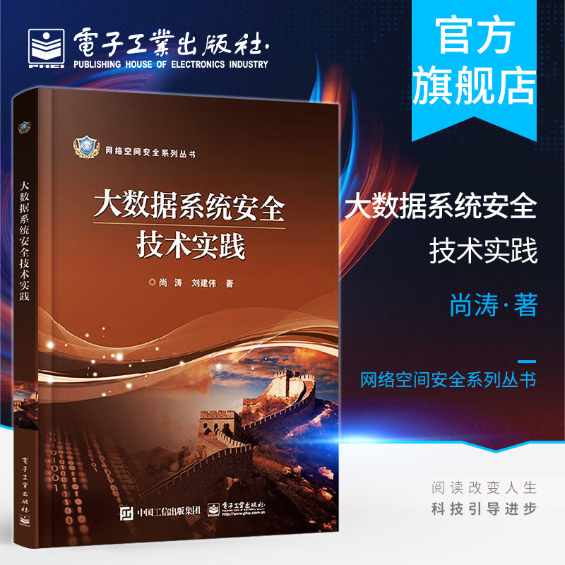 官方旗舰店 大数据系统安全技术实践 健康医疗大数据具体应用书籍 平台程序设计开发 数据隐cang与加